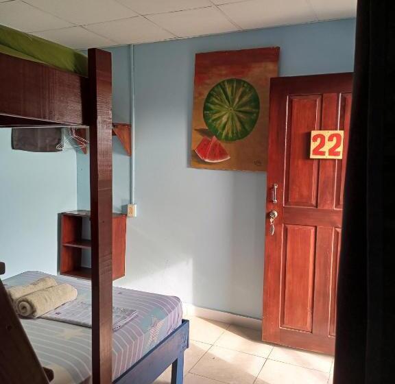 غرفة قياسية ثلاثية, Surfari Bocas