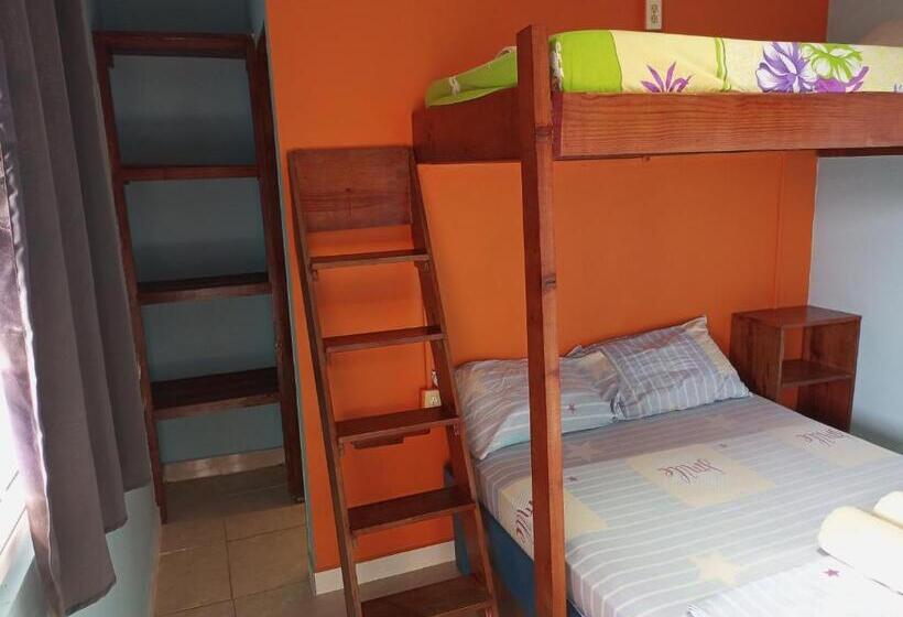 غرفة قياسية ثلاثية, Surfari Bocas