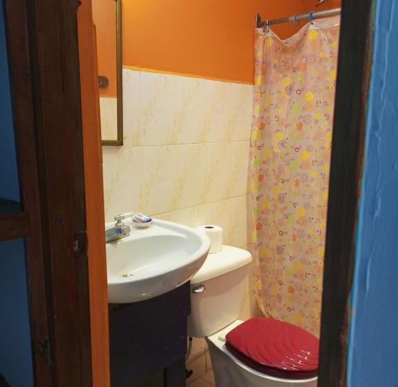 غرفة قياسية ثلاثية, Surfari Bocas