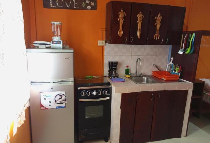 إستوديو قياسى, Surfari Bocas