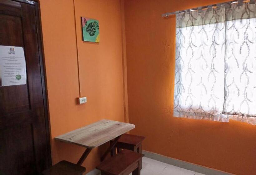 إستوديو قياسى, Surfari Bocas