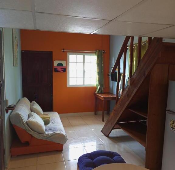 شقة غرفة واحدة, Surfari Bocas