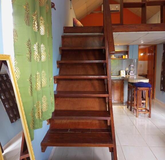 شقة غرفة واحدة, Surfari Bocas