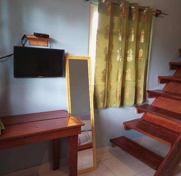 شقة غرفة واحدة, Surfari Bocas