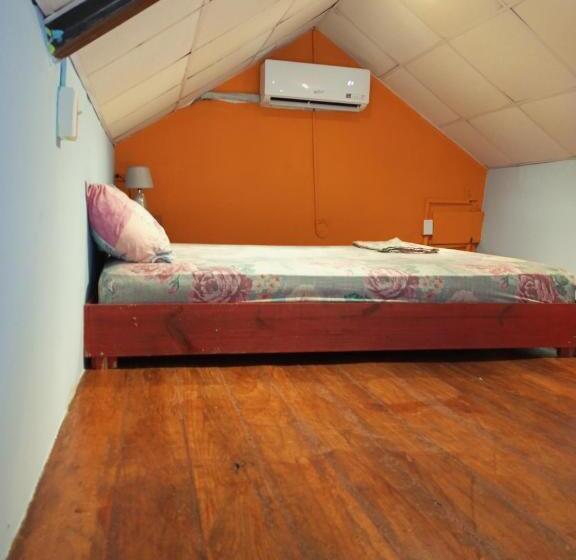 شقة غرفة واحدة, Surfari Bocas