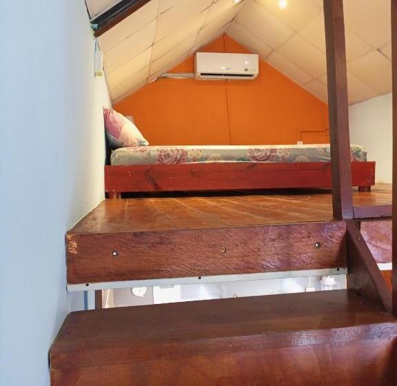 شقة غرفة واحدة, Surfari Bocas