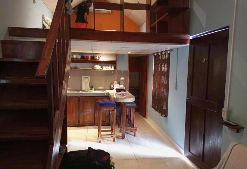 شقة غرفة واحدة, Surfari Bocas