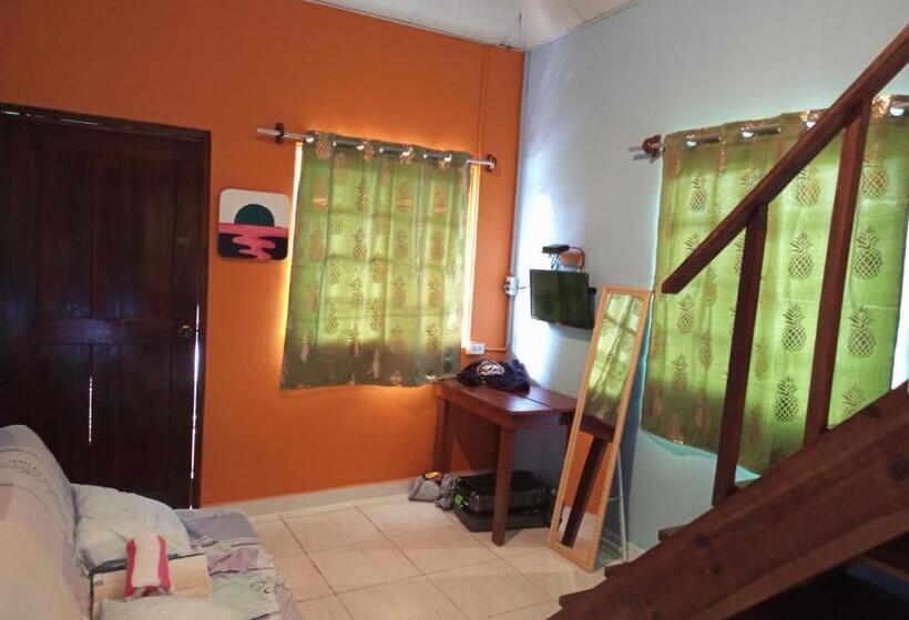 شقة غرفة واحدة, Surfari Bocas