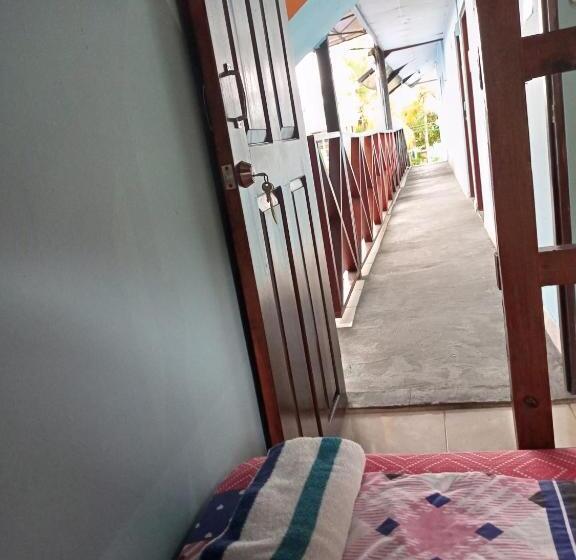 غرفة قياسية رباعية, Surfari Bocas