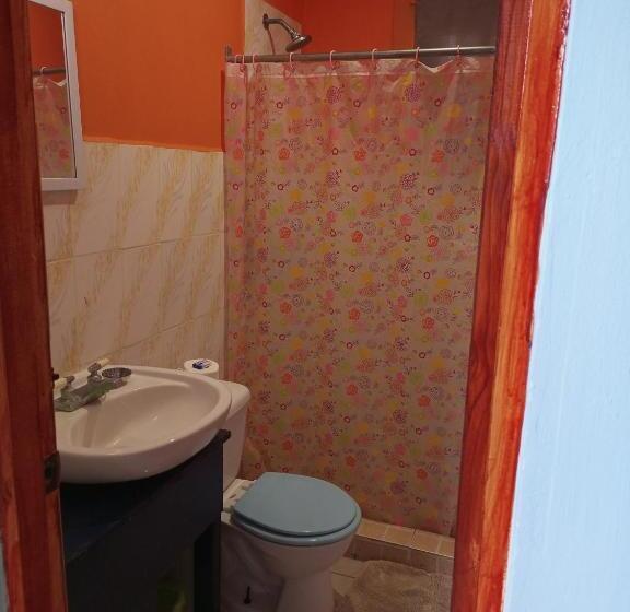 غرفة قياسية رباعية, Surfari Bocas