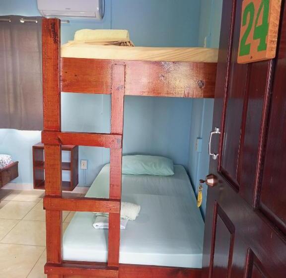 غرفة قياسية رباعية, Surfari Bocas