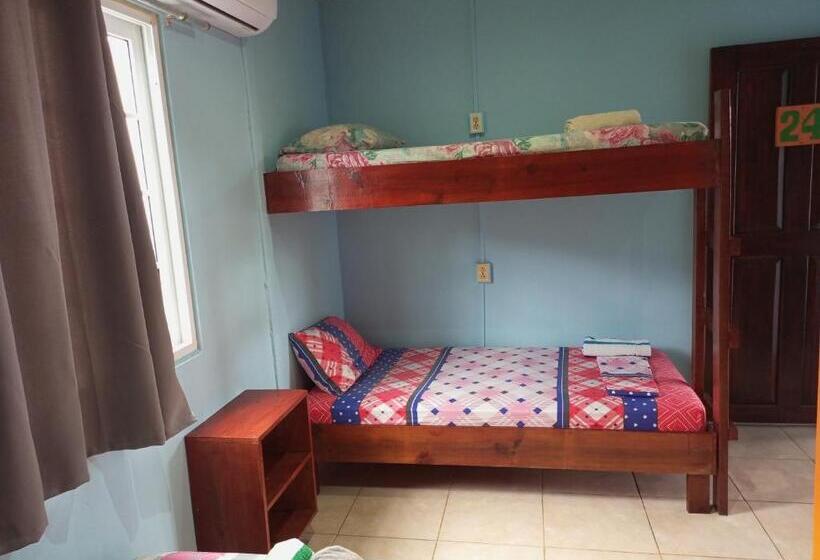 غرفة قياسية رباعية, Surfari Bocas