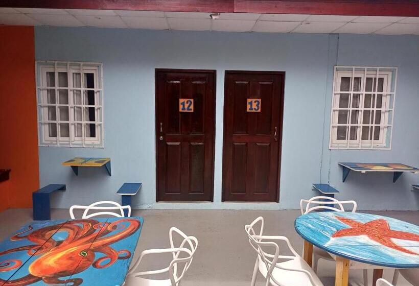 غرفة قياسية, Surfari Bocas