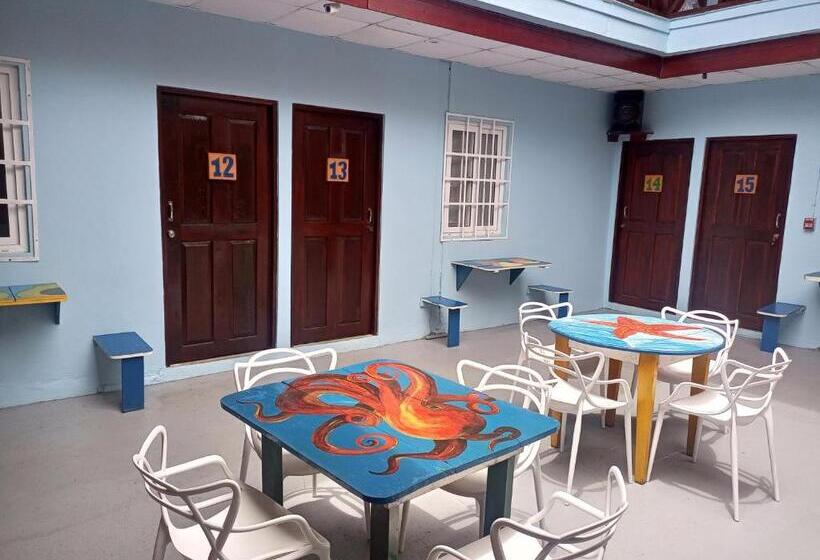 غرفة قياسية ثلاثية, Surfari Bocas