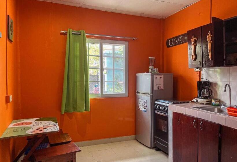 إستوديو قياسى, Surfari Bocas