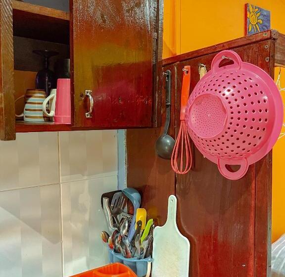 إستوديو قياسى, Surfari Bocas