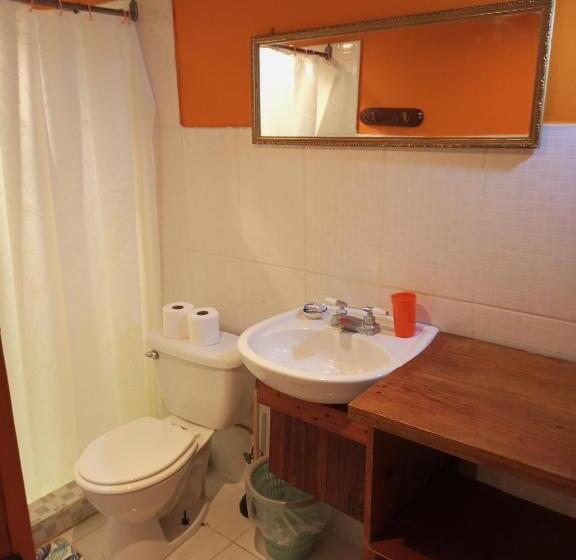 شقة غرفة واحدة, Surfari Bocas