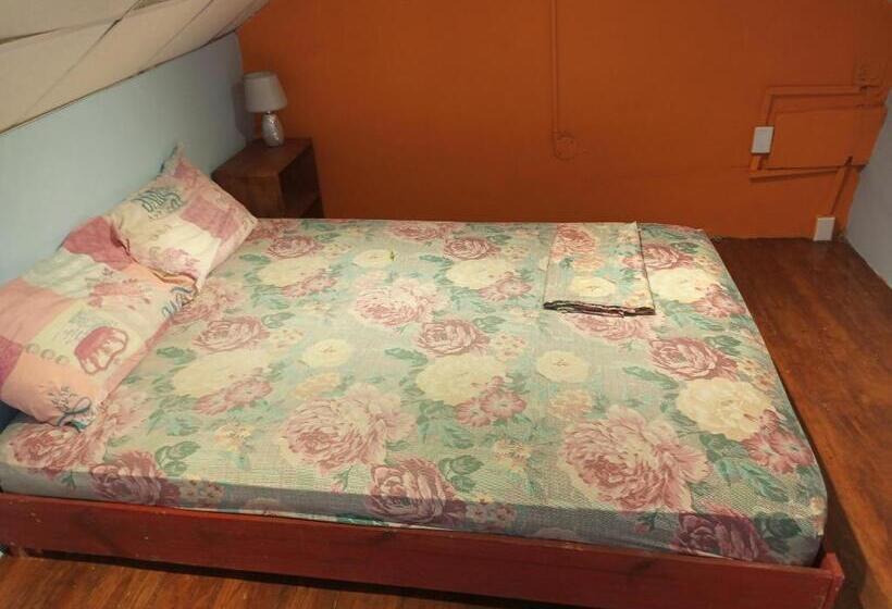 شقة غرفة واحدة, Surfari Bocas