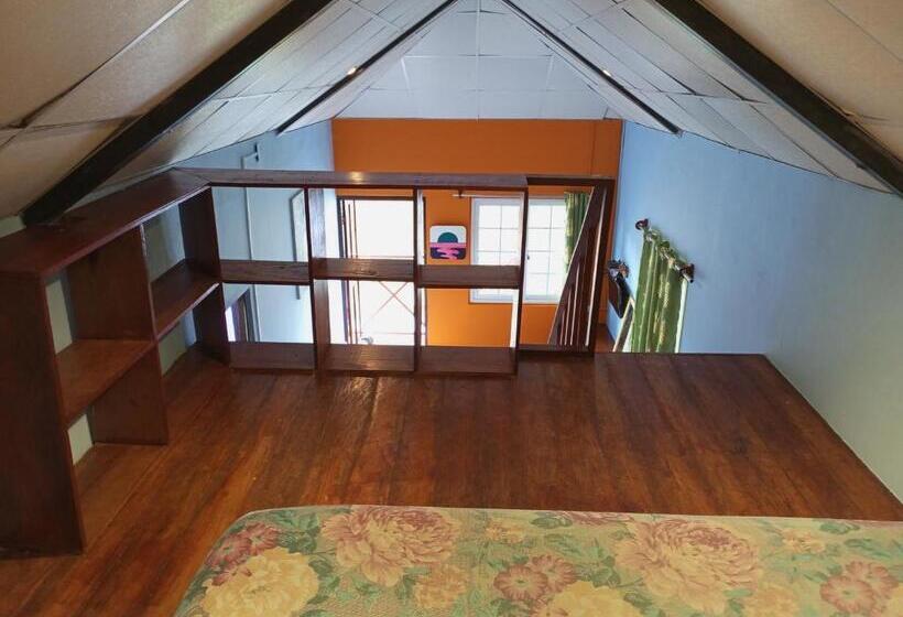 شقة غرفة واحدة, Surfari Bocas