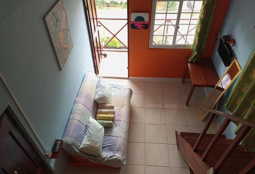 شقة غرفة واحدة, Surfari Bocas