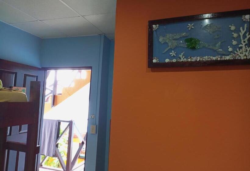 غرفة قياسية رباعية, Surfari Bocas