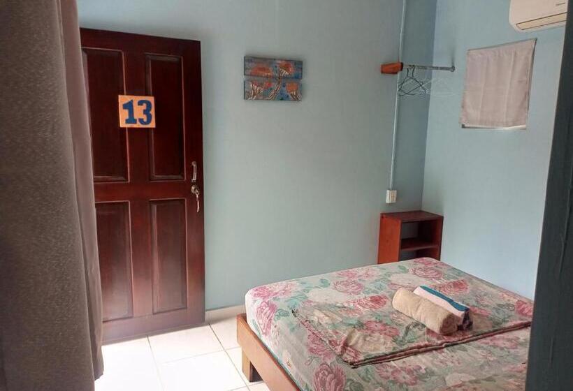 غرفة قياسية, Surfari Bocas