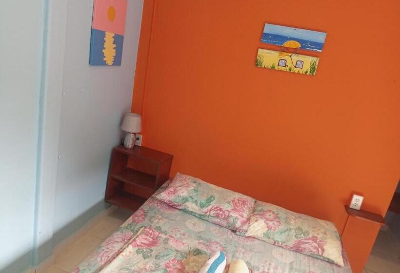 غرفة قياسية, Surfari Bocas