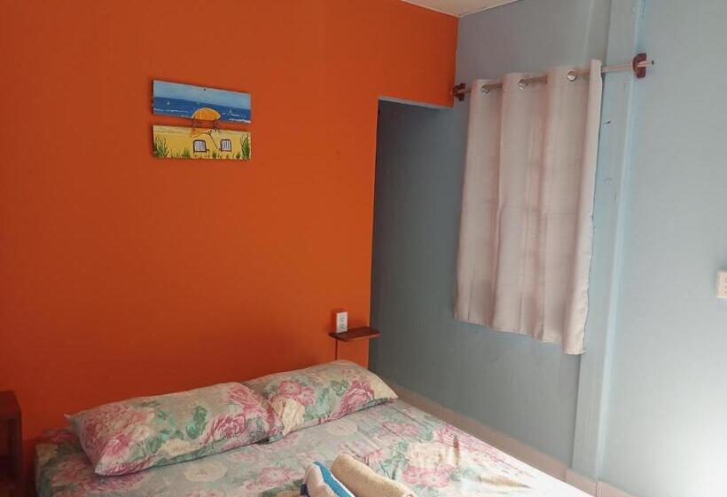 غرفة قياسية, Surfari Bocas