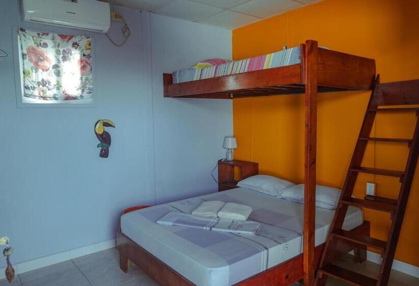 غرفة قياسية ثلاثية, Surfari Bocas