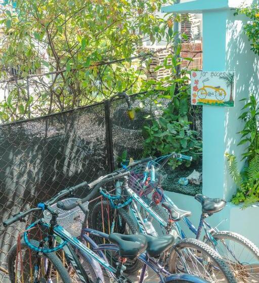 إستوديو قياسى, Surfari Bocas