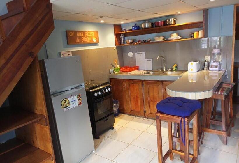 شقة غرفة واحدة, Surfari Bocas