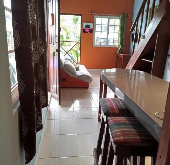 شقة غرفة واحدة, Surfari Bocas