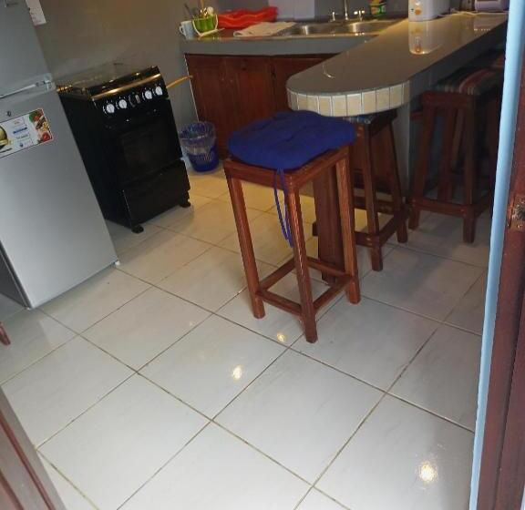 شقة غرفة واحدة, Surfari Bocas