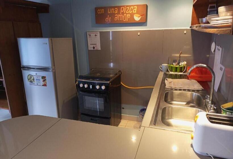 شقة غرفة واحدة, Surfari Bocas