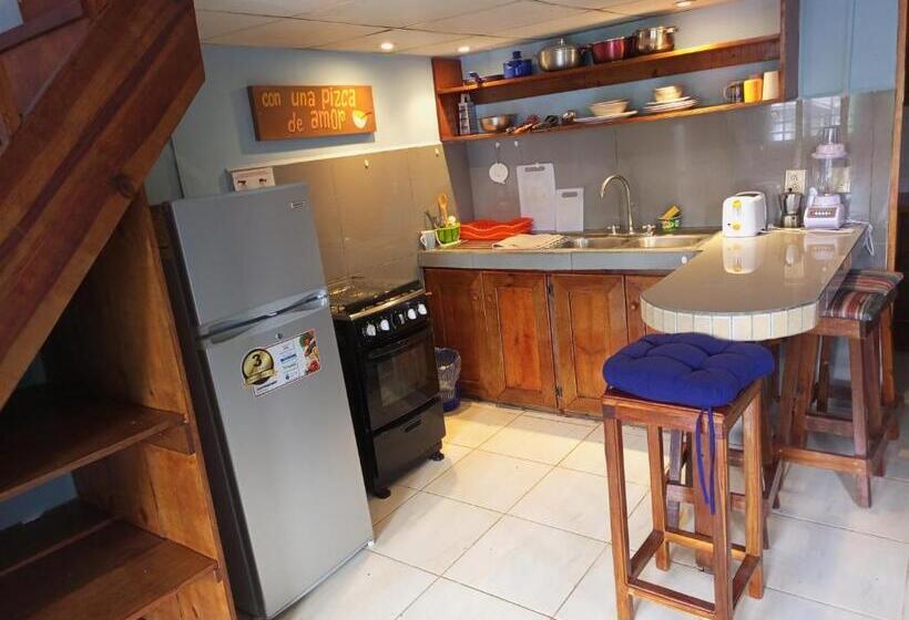 شقة غرفة واحدة, Surfari Bocas