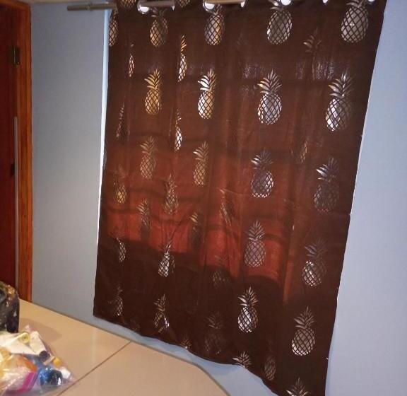 شقة غرفة واحدة, Surfari Bocas