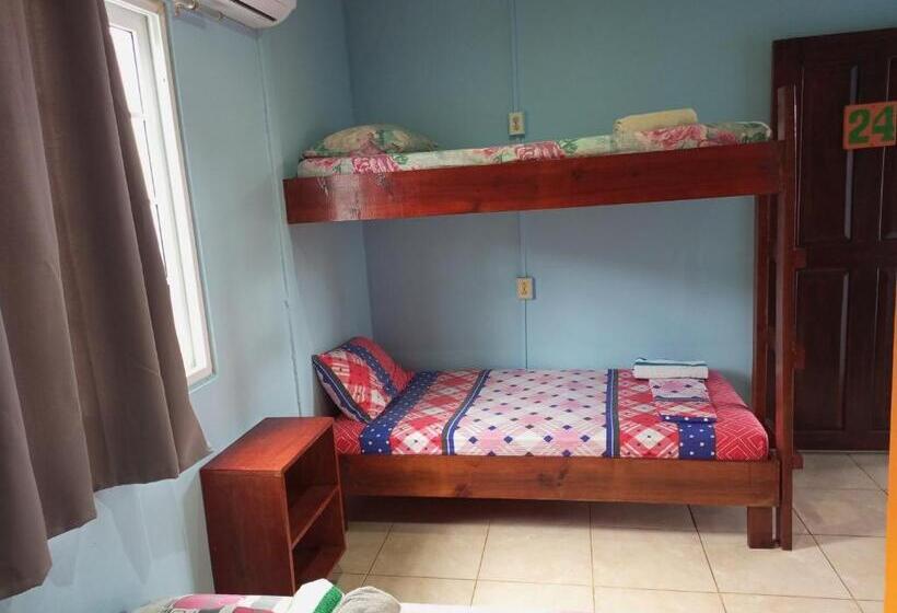 غرفة قياسية رباعية, Surfari Bocas