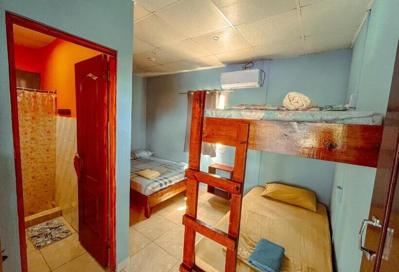 غرفة قياسية رباعية, Surfari Bocas