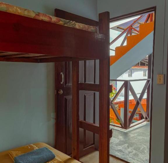 غرفة قياسية رباعية, Surfari Bocas