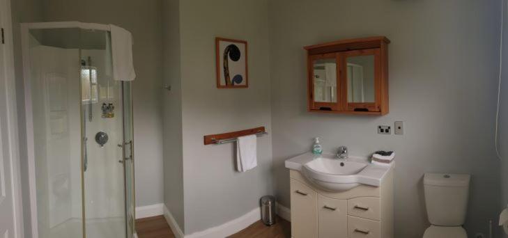 اتاق لوکس با تخت دو نفره بزرگ, Top Of The Town