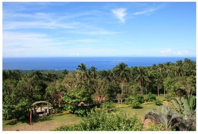 Президентский Люкс, Camiguin Highland Resort