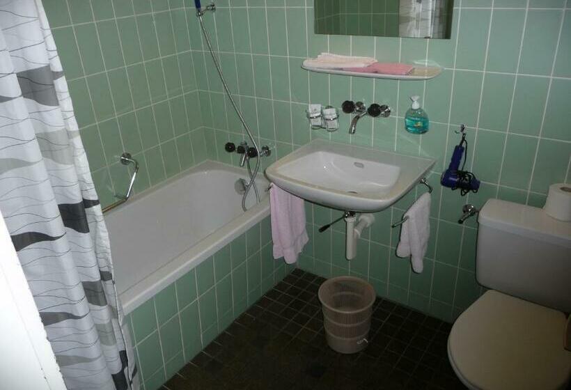 חדר סטנדרט, Panorama Windegg