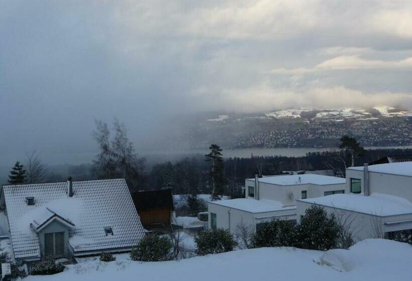 חדר סטנדרט, Panorama Windegg