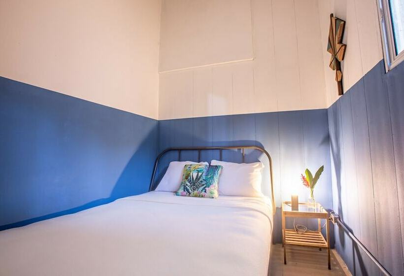 Номер Базовый Совметсный Санузел, Socialtel Red Frog