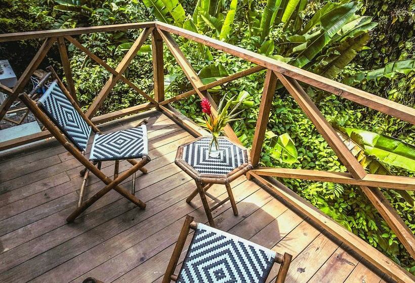 Люкс, Socialtel Red Frog