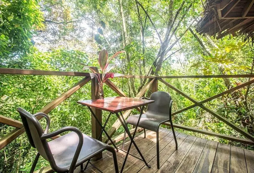 Deluxe-bungalow, Socialtel Red Frog