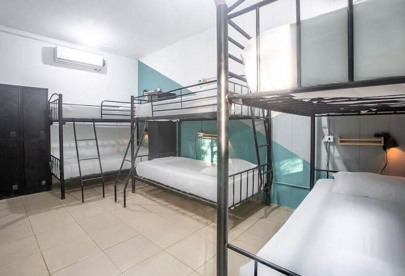 Номер Стандарт, Socialtel Red Frog