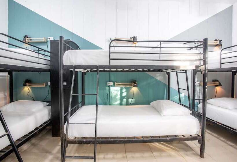 Номер Стандарт, Socialtel Red Frog