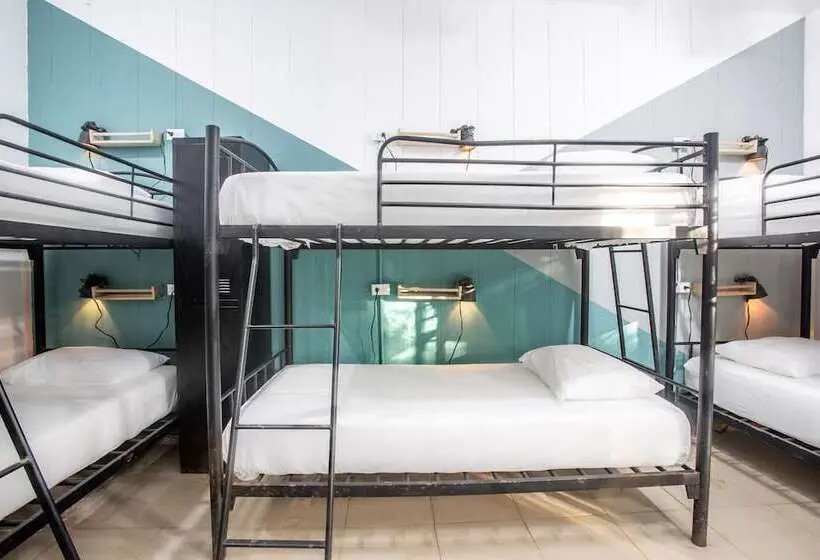Standard-huone, Socialtel Red Frog
