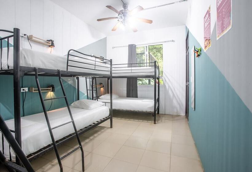 Номер Стандарт, Socialtel Red Frog